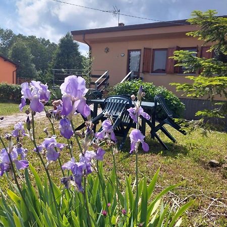 Chalet Grazia 발기아노 외부 사진