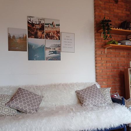 Chalet Grazia 발기아노 외부 사진