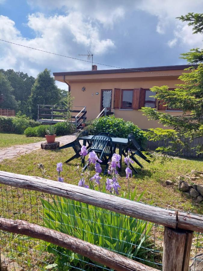 Chalet Grazia 발기아노 외부 사진