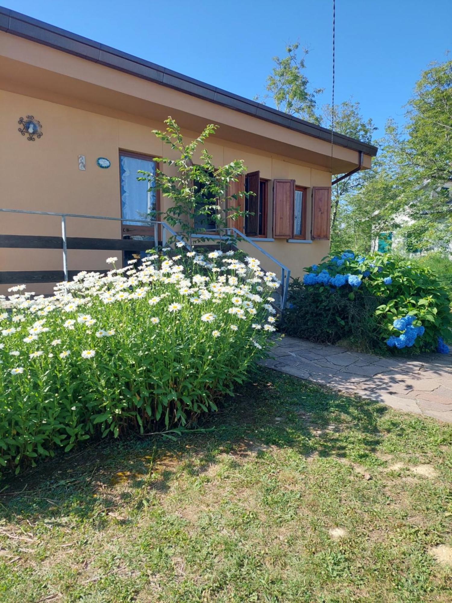 Chalet Grazia 발기아노 외부 사진